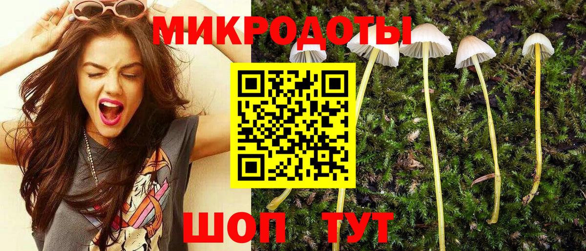 Похвистнево  Псилоцибиновые грибы прущие грибы  Вход с VPN 
